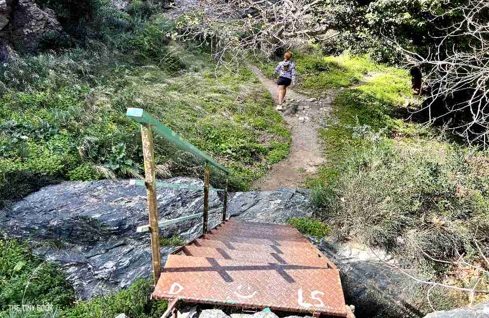 A Local's Guide to Richtis Gorge: An Unforgettable Adventure in Crete 13 richtis gorge richtis gorge