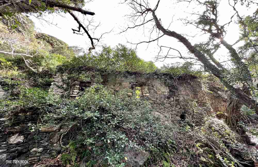 A Local's Guide to Richtis Gorge: An Unforgettable Adventure in Crete 16 richtis gorge richtis gorge