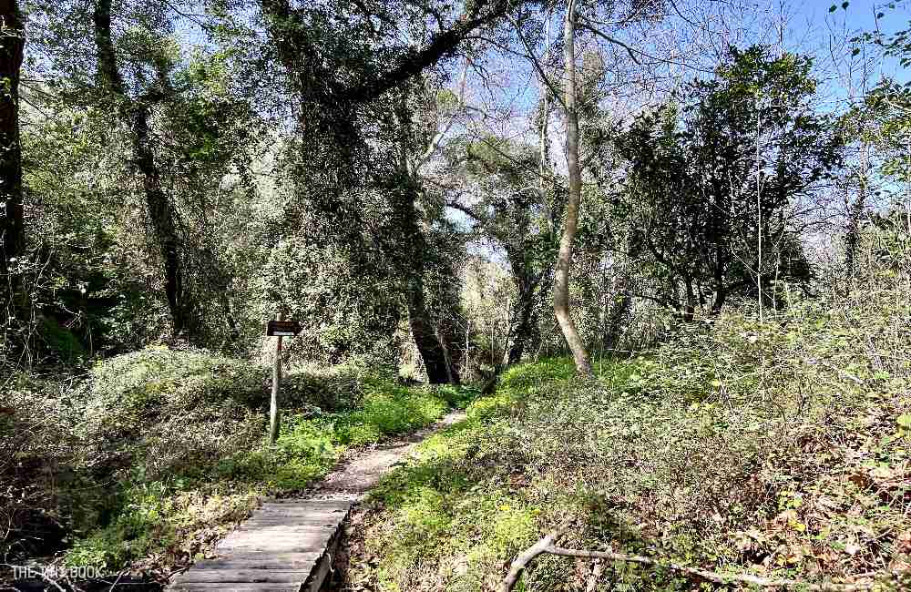 A Local's Guide to Richtis Gorge: An Unforgettable Adventure in Crete 4 richtis gorge richtis gorge