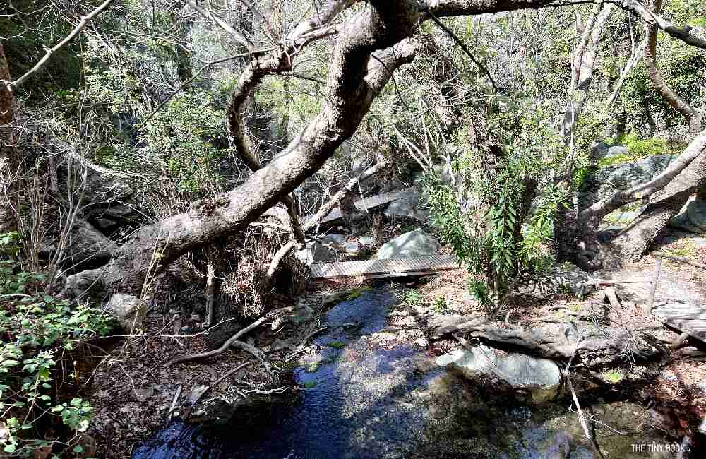A Local's Guide to Richtis Gorge: An Unforgettable Adventure in Crete 12 richtis gorge richtis gorge