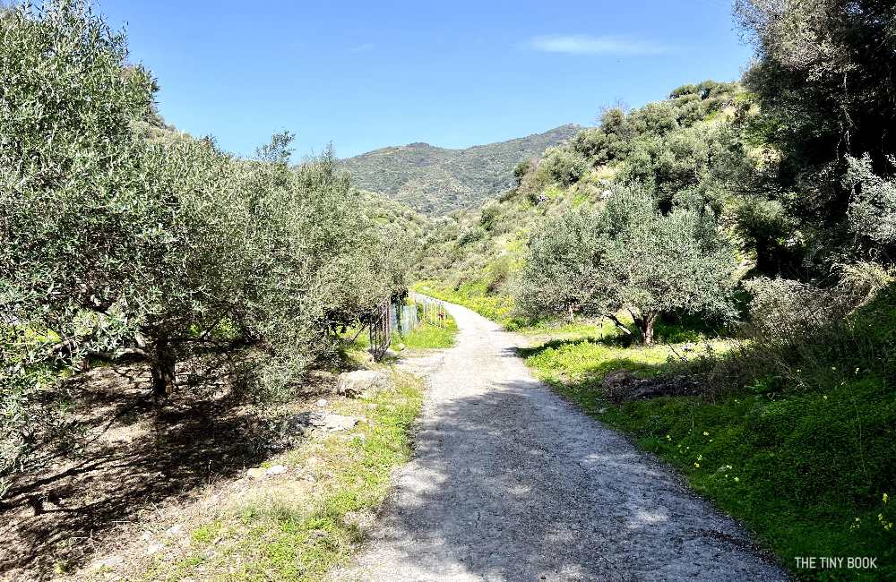 A Local's Guide to Richtis Gorge: An Unforgettable Adventure in Crete 5 richtis gorge richtis gorge