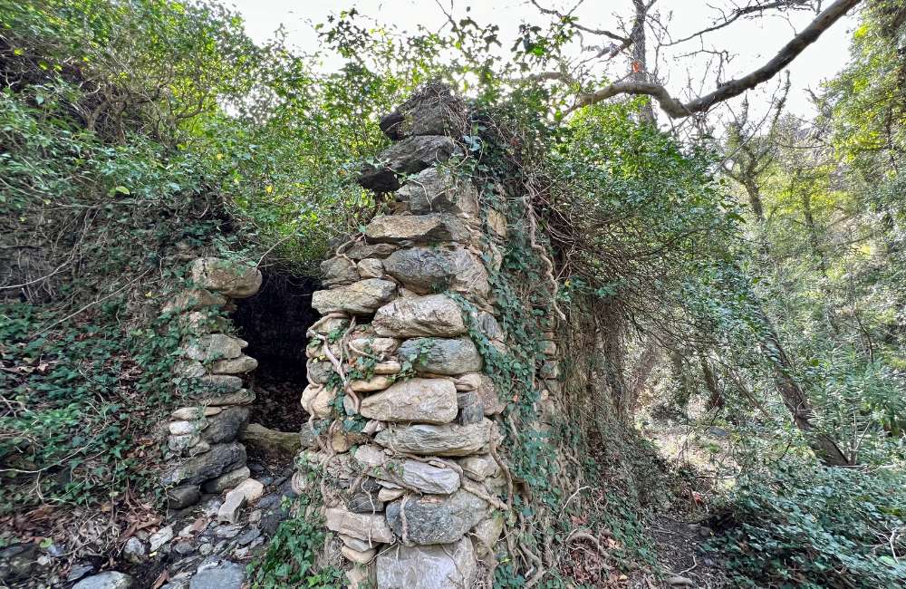 A Local's Guide to Richtis Gorge: An Unforgettable Adventure in Crete 7 richtis gorge richtis gorge