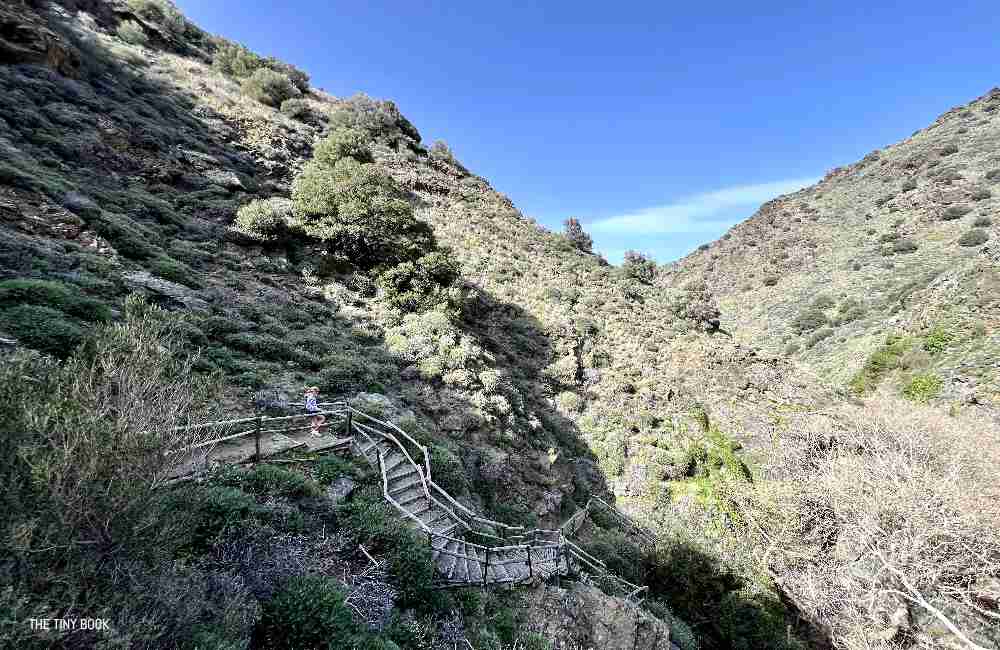 A Local's Guide to Richtis Gorge: An Unforgettable Adventure in Crete 6 richtis gorge richtis gorge