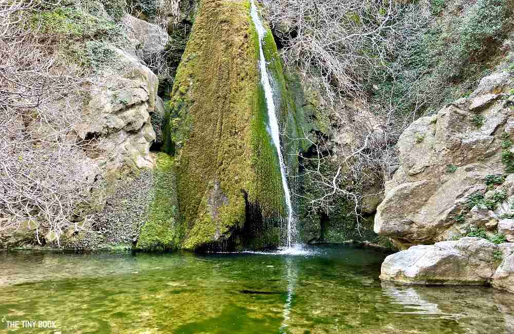 A Local's Guide to Richtis Gorge: An Unforgettable Adventure in Crete 9 richtis gorge richtis gorge
