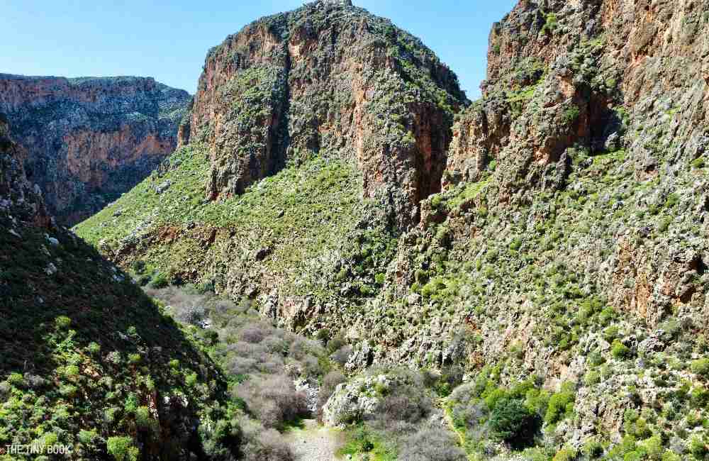 Gorge of the Dead