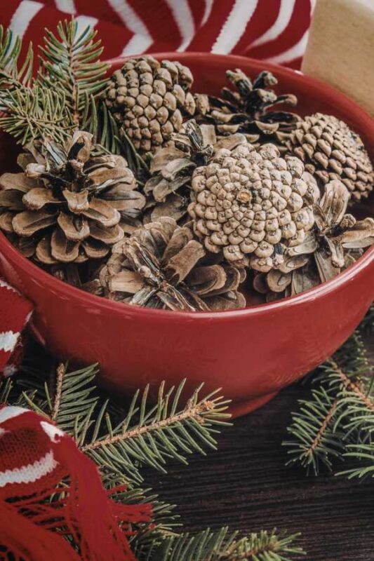 8 Alternative Christmas Centerpieces for a Natural, Heartfelt Home 9 alternative christmas centerpieces alternative christmas centerpieces
