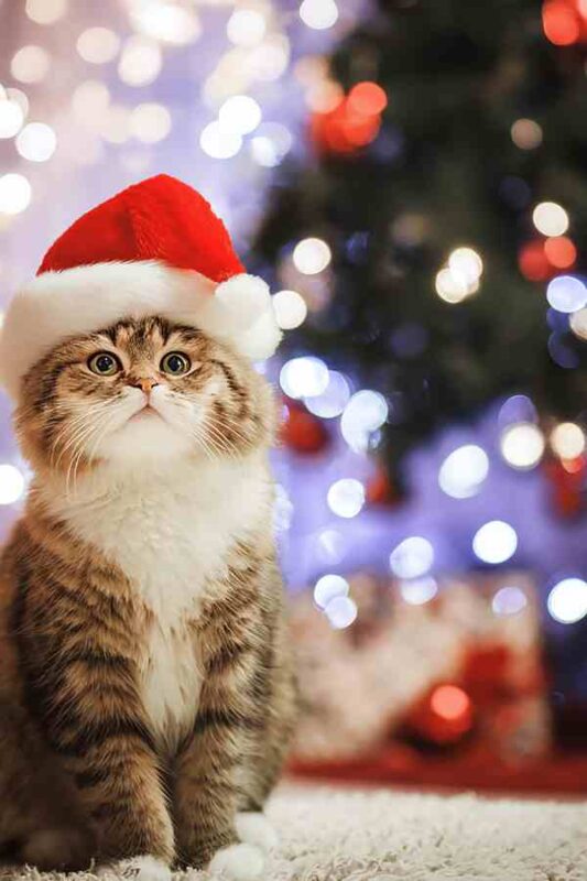 Unique Christmas Tree Toppers You’ll Want to Use Every Year 9 christmas tree toppers christmas tree toppers