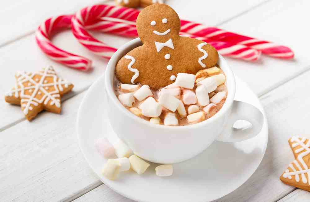 15 Christmas Hot Chocolate Recipes (Cozy, Easy & Totally Irresistible) 9 hot chocolate recipes hot chocolate recipes