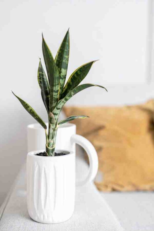 17 Last-Minute DIY Christmas Gifts Anyone Can Make (No Craft Skills Needed) 13 diy christmas gifts diy christmas gifts