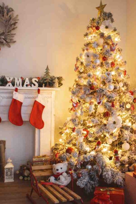 When to Put Up the Christmas Tree: Traditions from Around the World 13 when to put up the christmas tree when to put up the christmas tree