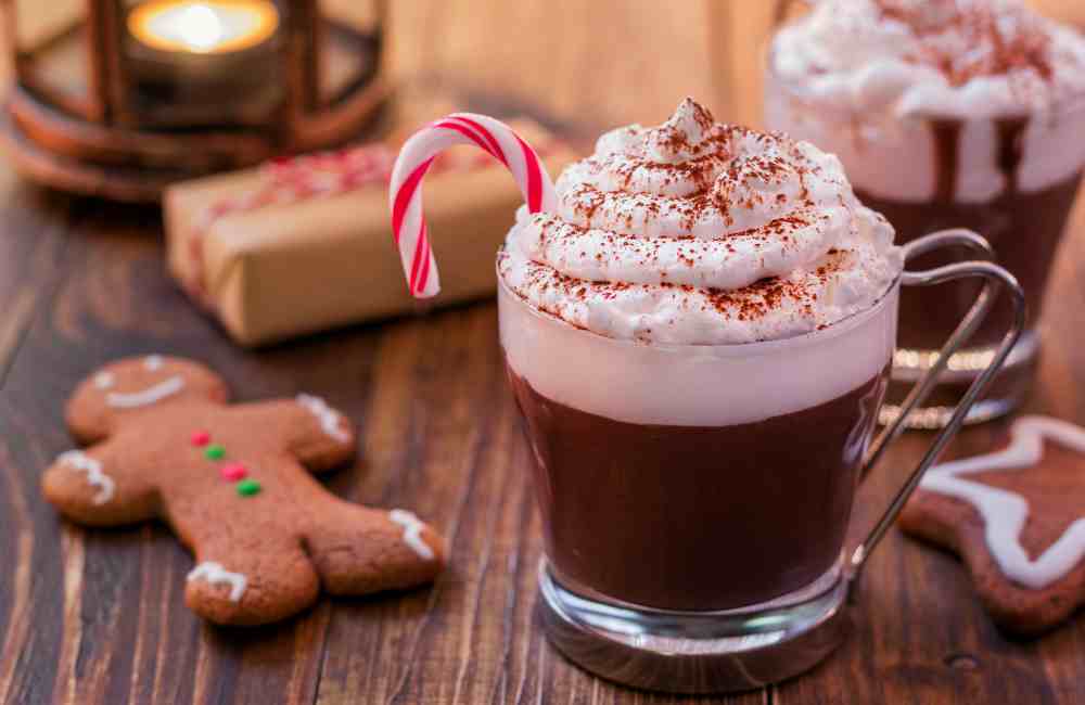 15 Christmas Hot Chocolate Recipes (Cozy, Easy & Totally Irresistible) 20 hot chocolate recipes hot chocolate recipes