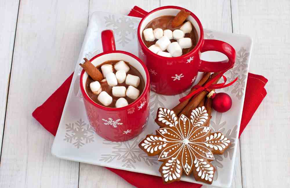 15 Christmas Hot Chocolate Recipes (Cozy, Easy & Totally Irresistible) 3 hot chocolate recipes hot chocolate recipes