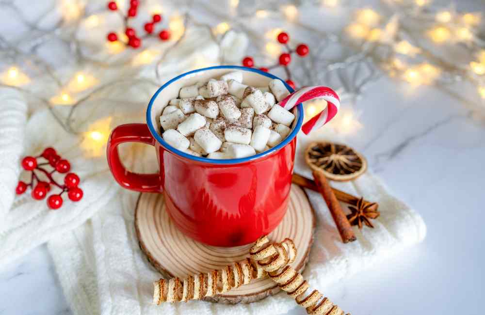 celebrate christmas like a hogwarts student