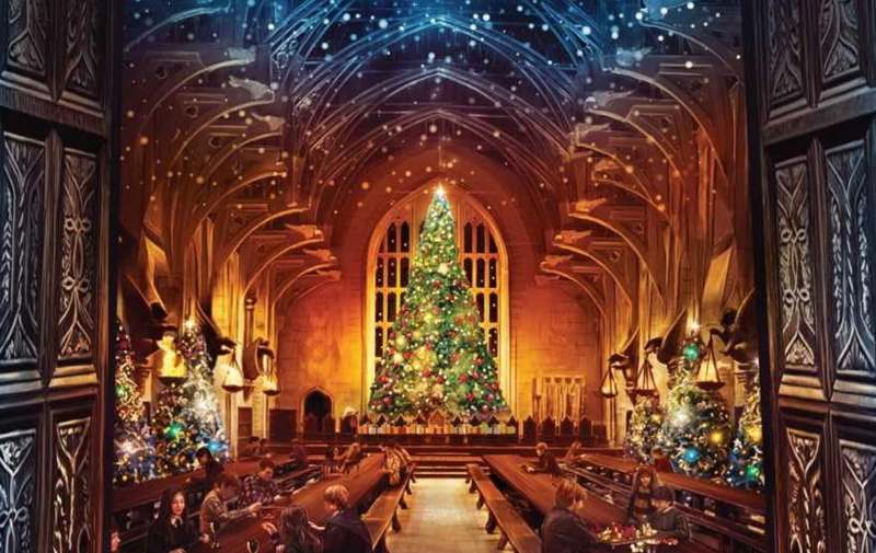 A Very Harry Christmas: 30 Magical Ideas Inspired by Harry Potter Movies 7 harry potter harry potter