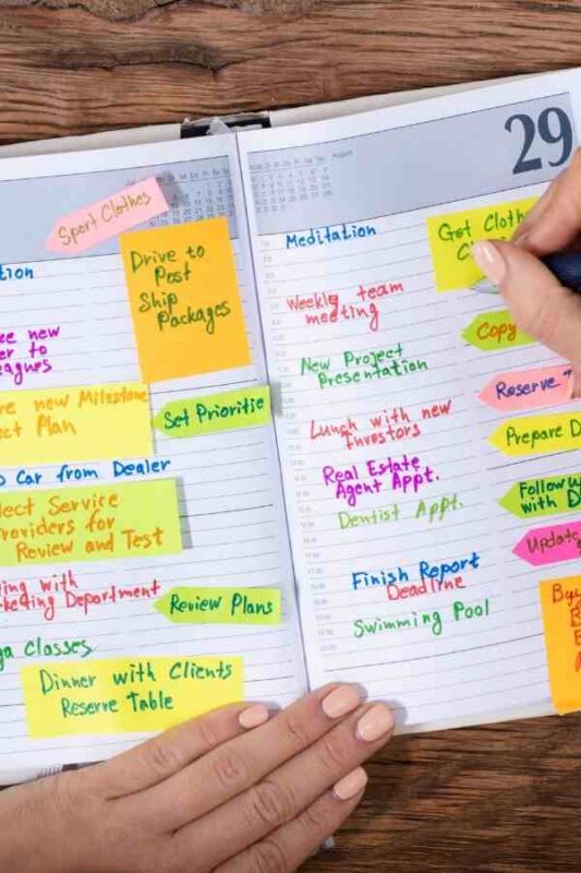 Start the New Year Right: Your Practical, Downloadable Planner for Intentions & Resolutions 6 downloadable planner downloadable planner