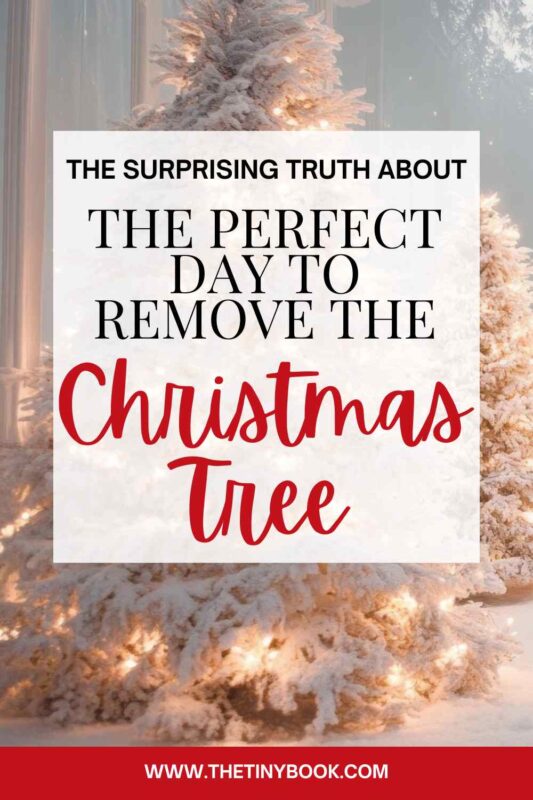 When You Should Really Take Down the Christmas Tree 10 when to take down the christmas tree when to take down the christmas tree